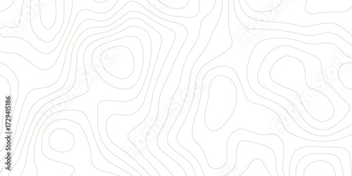 Topography background. Vector banner. Topography map background. Vector geographic contour map. Background of the topographic map. Topographic map lines, contour background.