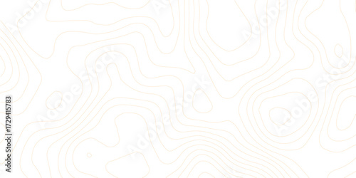 Topographic map background, geographic line map with elevation assignments, Modern design with White background, topographic wavy pattern design, paper texture Imitation of a geographical map shades.