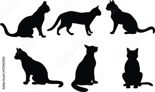Silhouette Cats in Various Poses Feline Companions in Black