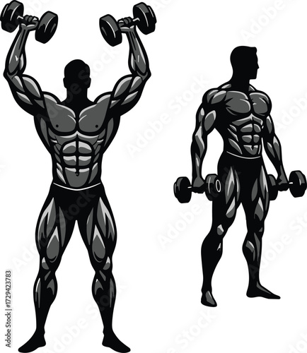 Dumbbell exercise illustration, overhead press and resting pose, muscular figure vector, fitness workout form, bodybuilding training, gym posture guide
