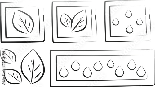 Best Eco Guide 2025: Grow Green with Leaves and Water Sustainability