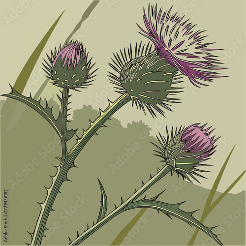 Burdock Plant with Purple Flower Close-Up
