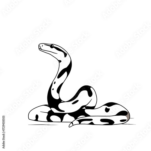 Boa Constrictor. Boa Constrictor simple black and white line art vector logo