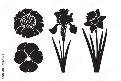 Black silhouette illustrations of four different flowers