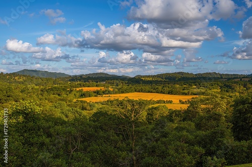 Wallpaper Mural Stunning scenery can be found in the Mangal Das Garcas Park located in a vibrant urban area. Torontodigital.ca