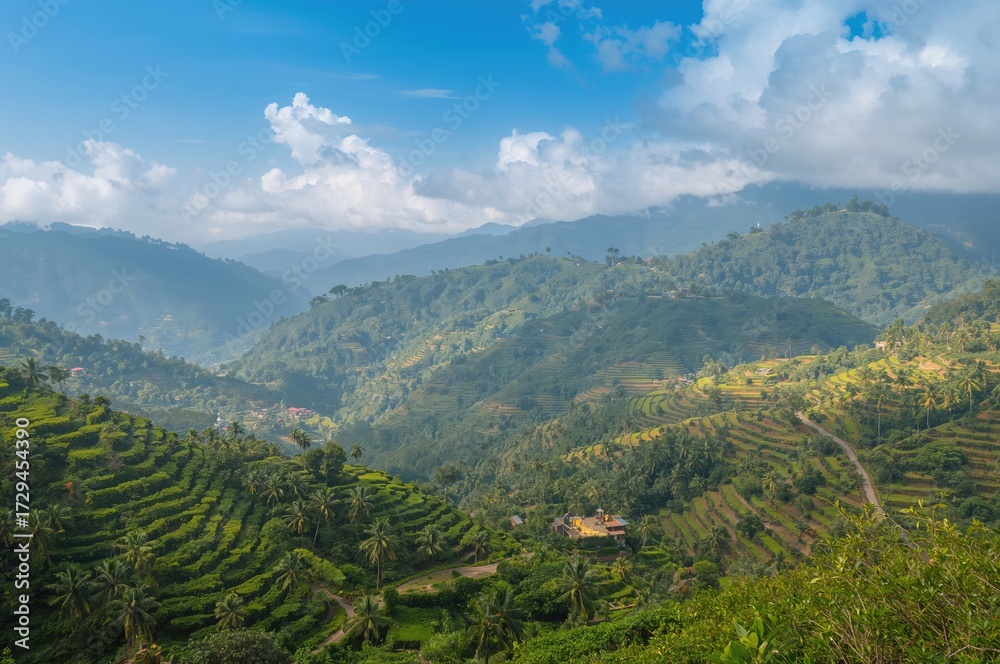 Obraz premium Stunning scenery of a lush green hill station
