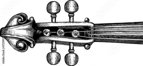 Vintage illustration of a violin scroll close-up for poster design