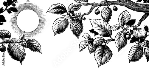 Mystical forest canopy with sunlight - vintage engraved design for prints