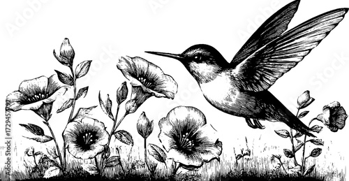 Vintage engraved illustration of sprite flying among flowers for retro design and decor