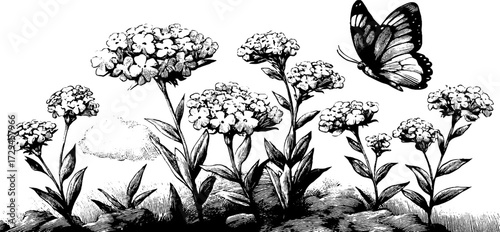 Enchanting scene of a sprite flying among flowers in a vintage engraved style for artistic design