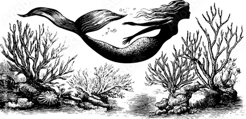 Vintage engraved illustration of underwater mermaid scene for retro design