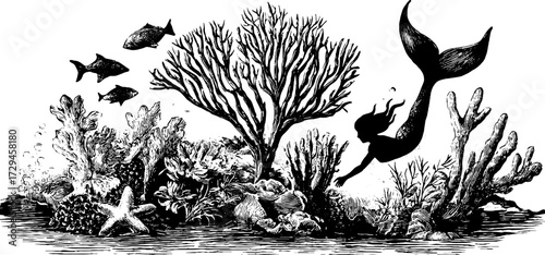 Vintage engraved illustration of an underwater scene with a mermaid and coral reef for nautical designs