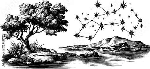 Vintage constellation ursa major and landscape engraving for prints and cards