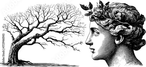 Engraved illustration set featuring dryad figure and tree silhouette for art and design