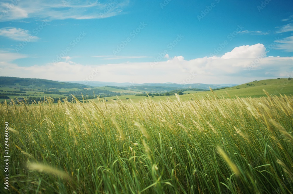 Fototapeta premium Animated nature scene featuring a lush grassy meadow