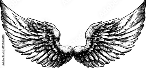 Intricate engraving of firebird wings with detailed feathers for design