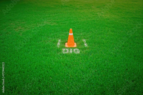 A vivid green lawn featuring a fluorescent orange cone placed centrally within a white rectangular outline labeled 'DIG' in bold letters.
