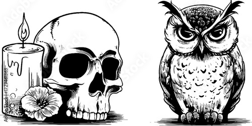 Gothic halloween skull and owl engraving set for vintage design