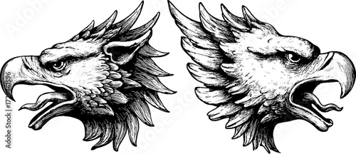 Vintage engraved illustration of griffin head emblem set for retro design projects