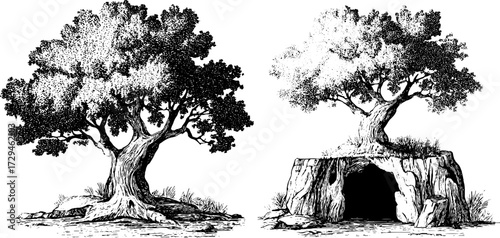Enchanting engraved illustration set featuring magical trees and hollow