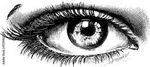 Intricate mystical eye symbol engraving for retro design and print
