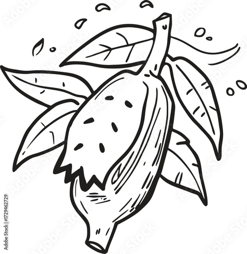 Hand drawn sketch of a prickly pear fruit with leaves and dots in a simple outline style isolated on transparent background