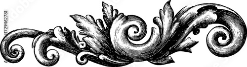Ornate rococo swirl ornament engraving design for vintage decor and art