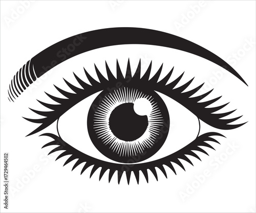 Human eye vector illustration with eyelashes and eyebrow in black and white design