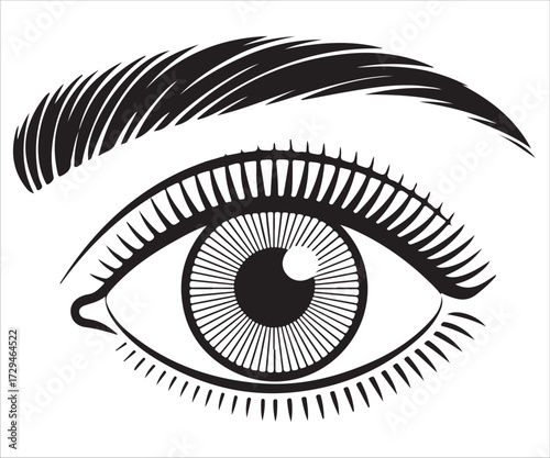 Detailed human eye vector illustration with eyebrow, eyelashes, and pupil design in black and white silhouette style isolated on white background for anatomy, vision, beauty, and symbolic artwork