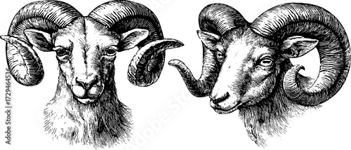 Vintage engraved illustration set of zodiac sign aries for retro design