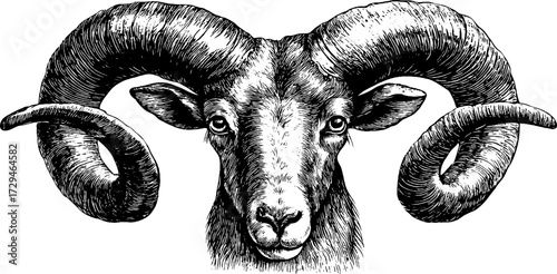 Aries zodiac sign vintage engraved illustration - retro design for cards and posters