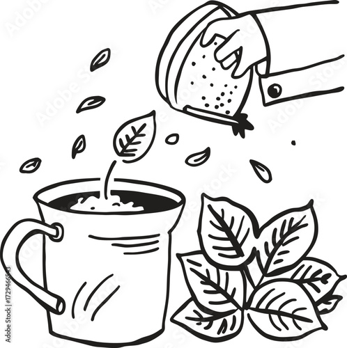 Hand pouring tea leaves into cup with fresh mint for a refreshing beverage isolated on transparent background