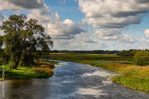 Rzeka Biebrza - Biebrzański Park Narodowy - zwiedzanie atrakcje w województwie podlaskim