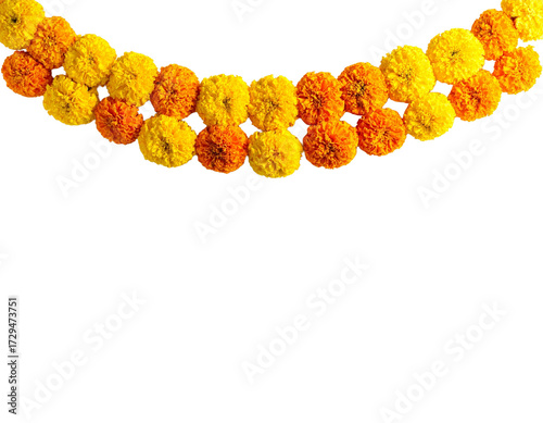 Orange and yellow marigold flower garlands PNG on isolated  transparent background  for festive decorations , diwali, pooja , flower rangoli, floral arrangements, greeting cards, toran 