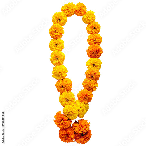 Orange and yellow marigold flower garland PNG on isolated  transparent background  for festive decorations , diwali, pooja , flower rangoli, floral arrangements, greeting cards, varmala