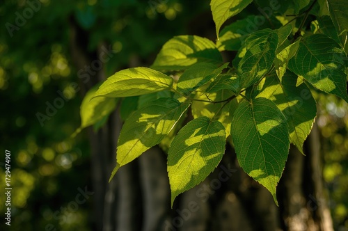 Background of Vibrant Green...