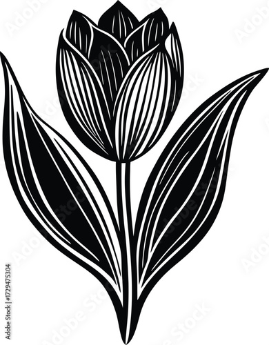 Abstract smoky swirls and wisps forming a celestial nebula cloud pattern isolated on transparent background