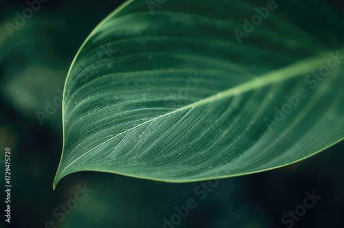 Eco-friendly backdrop with ...