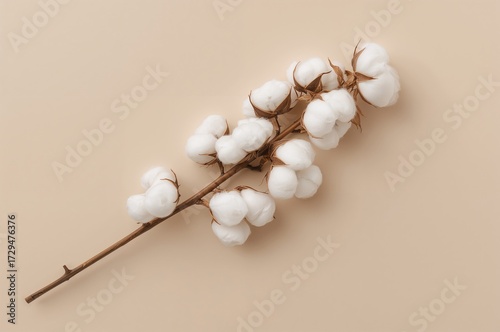 White fluffy cotton blossom...