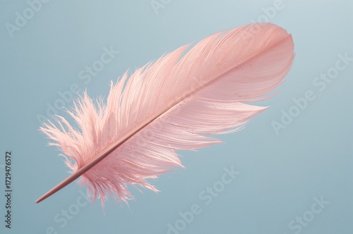 Soft pink plume against a p...