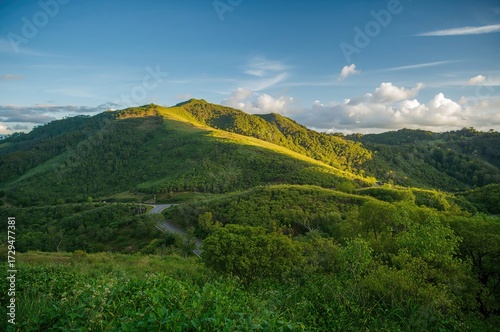 Lush hill featuring a pathw...