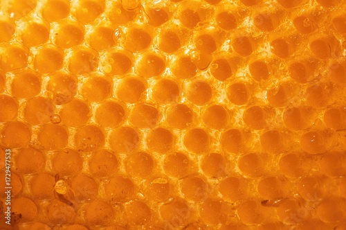 Close-up of natural honeyco...