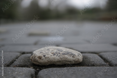 Blurred Background Featurin...