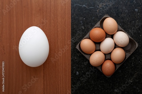 Bright white egg against a ...