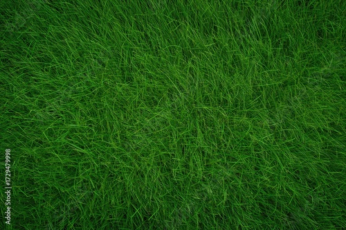 Wallpaper Mural Background texture of lush green grass Torontodigital.ca