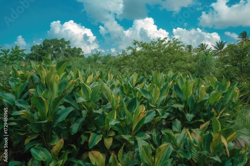 Lush greenery thriving in a...