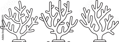 Three branching coral silhouettes isolated on white background