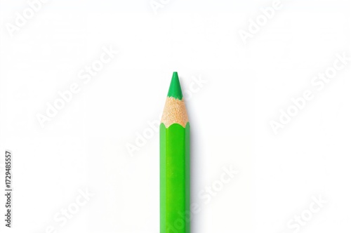 Isolated Green Wax Pencil C...