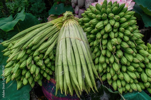 Bundle of fresh green lotus...