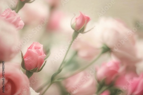 Stunning Floral Blur Ideal ...